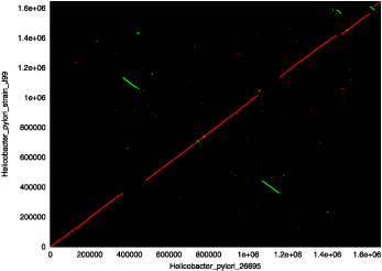 nucmer dot plot